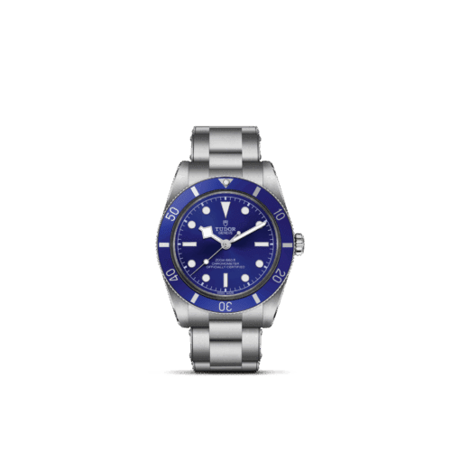 TUDOR Black Bay 54