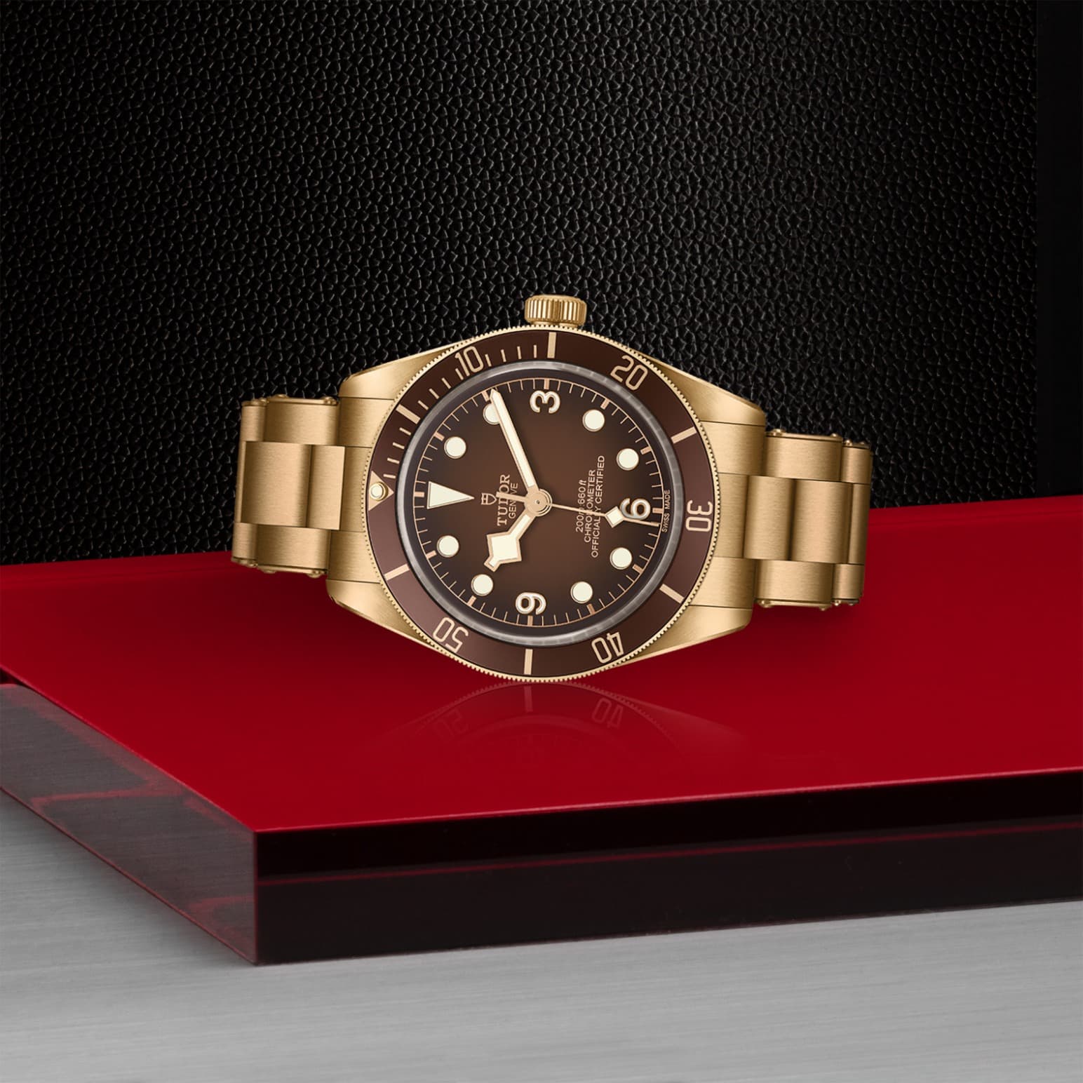 TUDOR Black Bay 58 Bronze – Bild 5