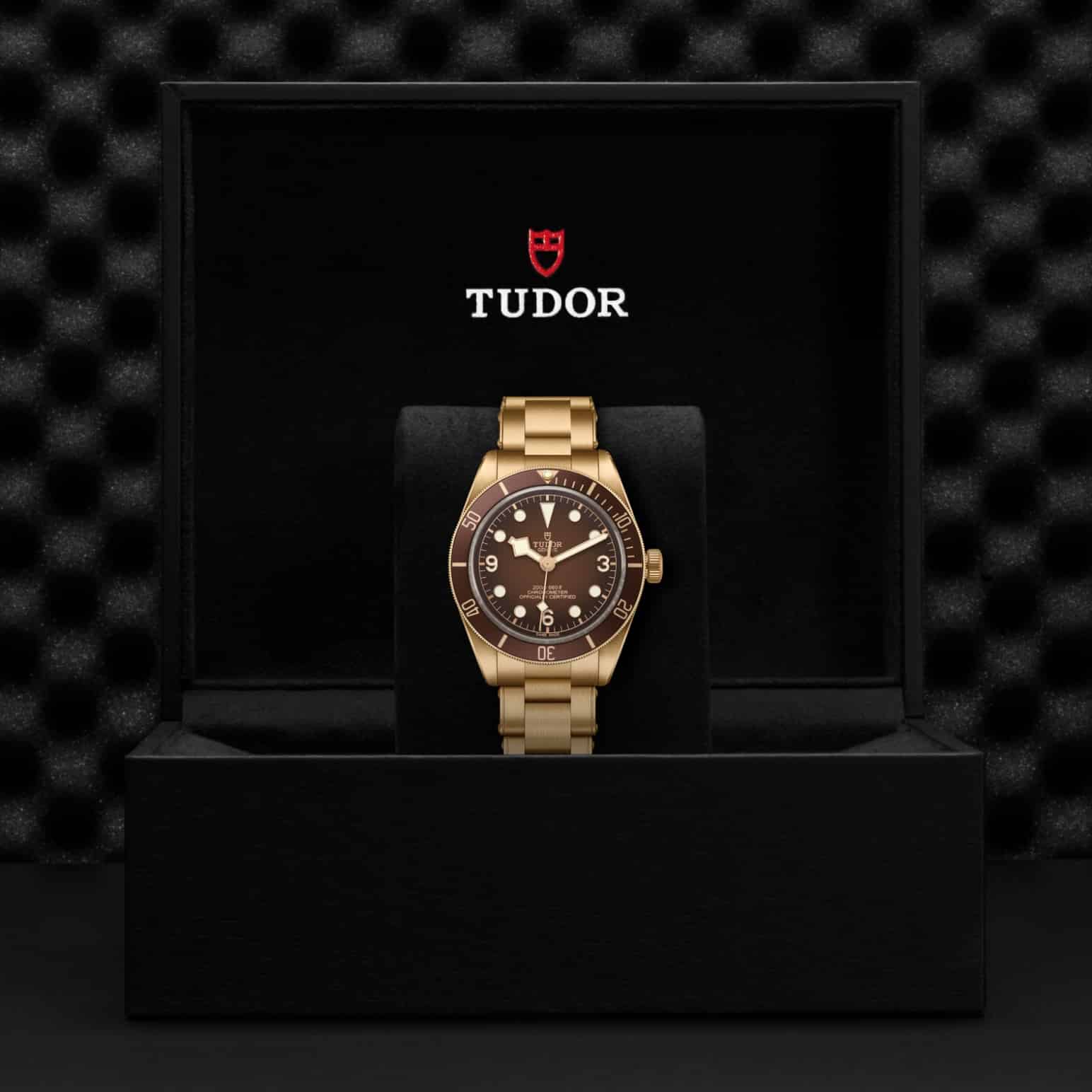 TUDOR Black Bay 58 Bronze – Bild 6