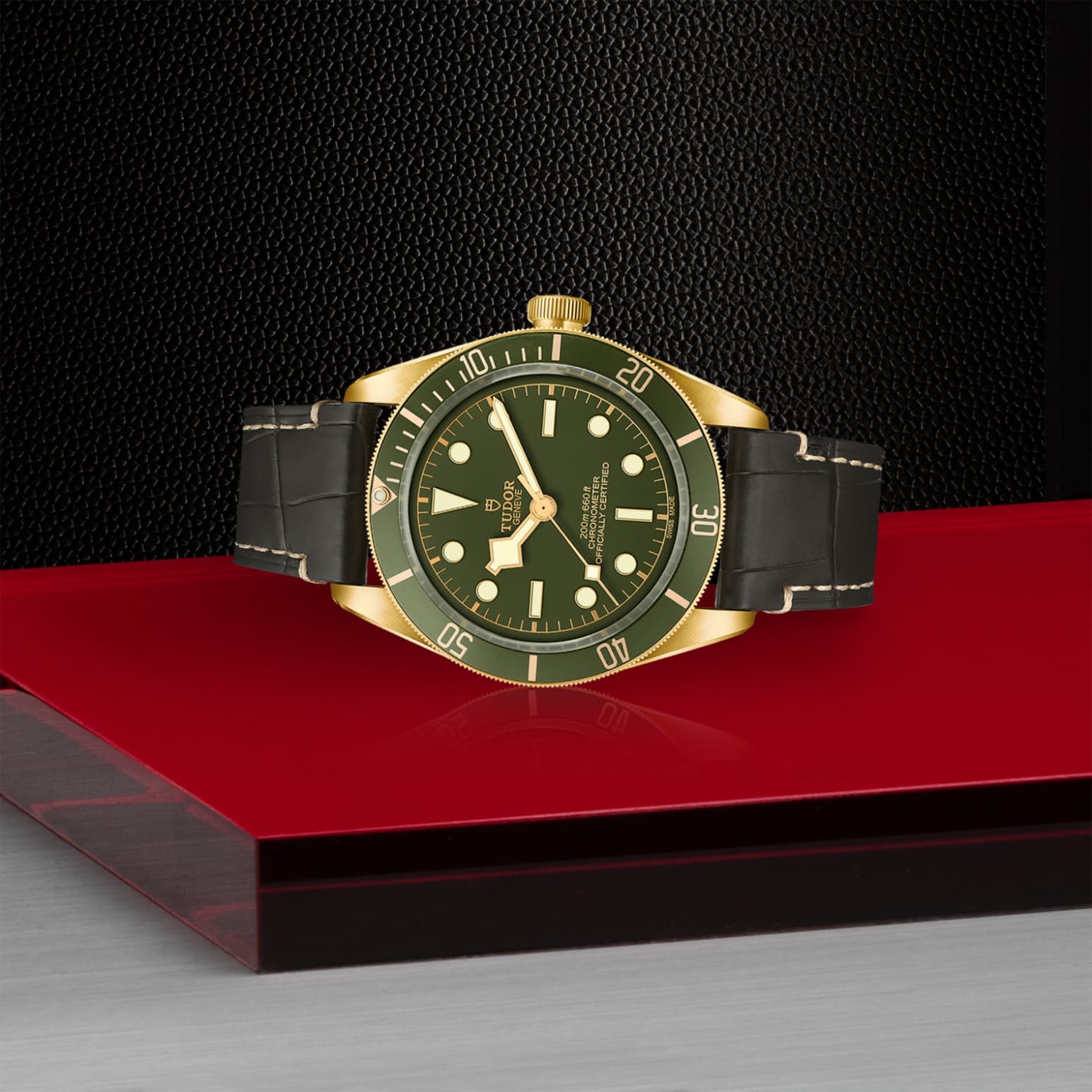 TUDOR Black Bay 58 18K – Bild 5