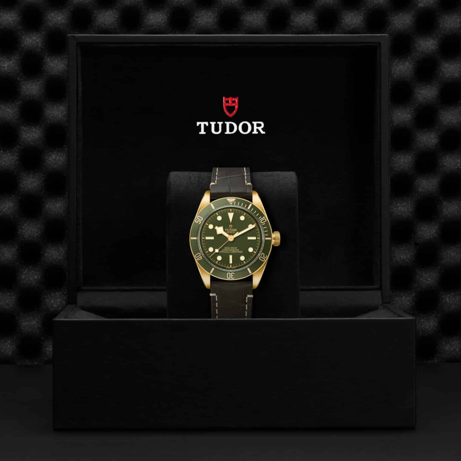 TUDOR Black Bay 58 18K – Bild 6