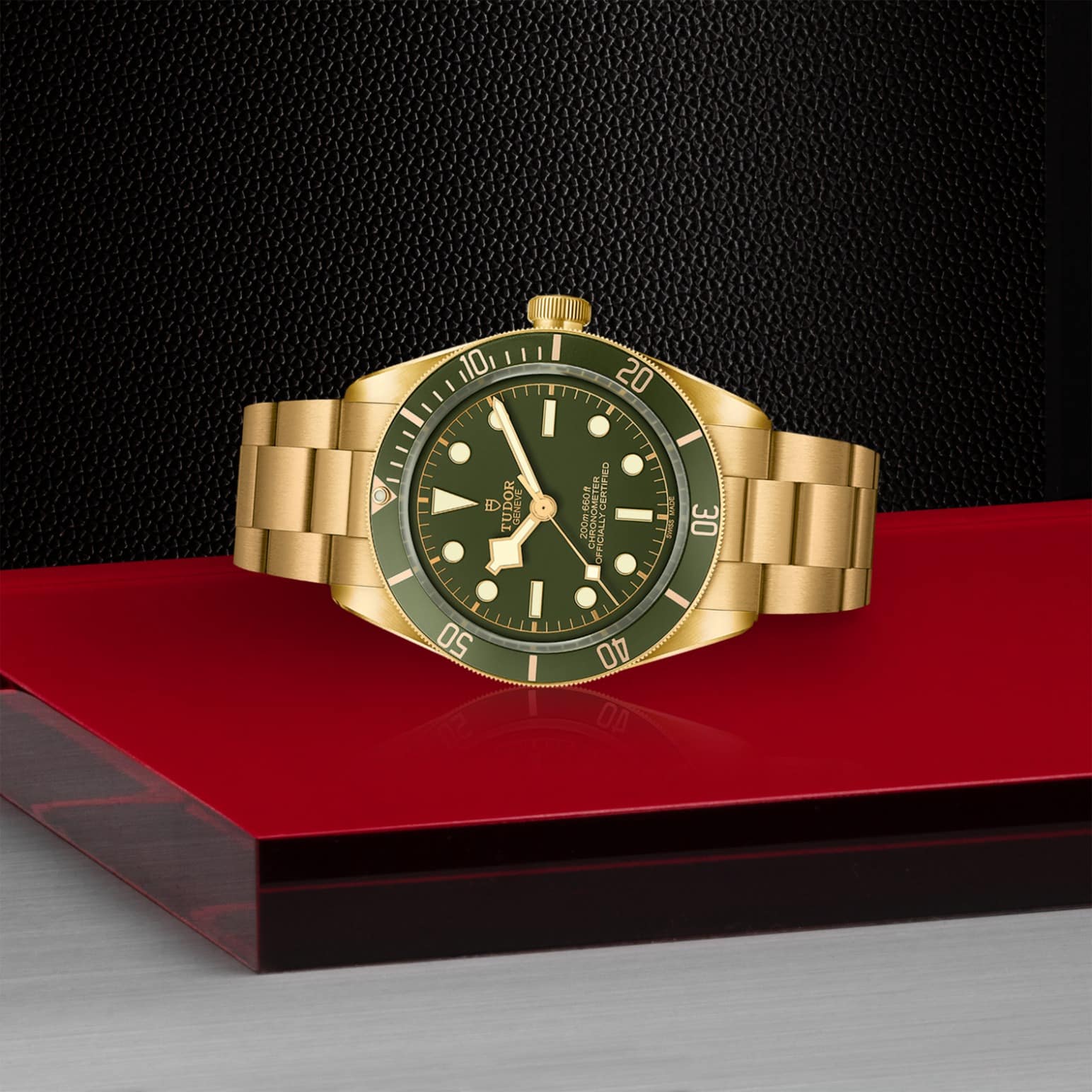 TUDOR Black Bay 58 18K – Bild 5