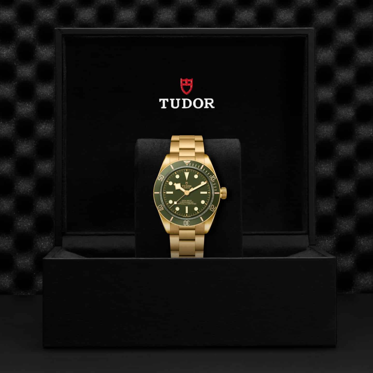 TUDOR Black Bay 58 18K – Bild 6