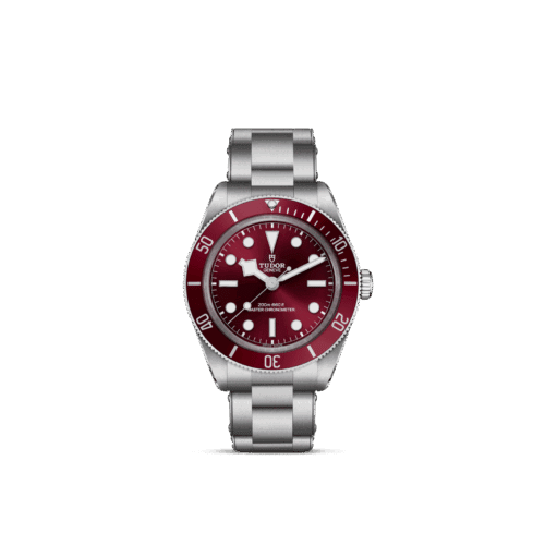 TUDOR Black Bay 58