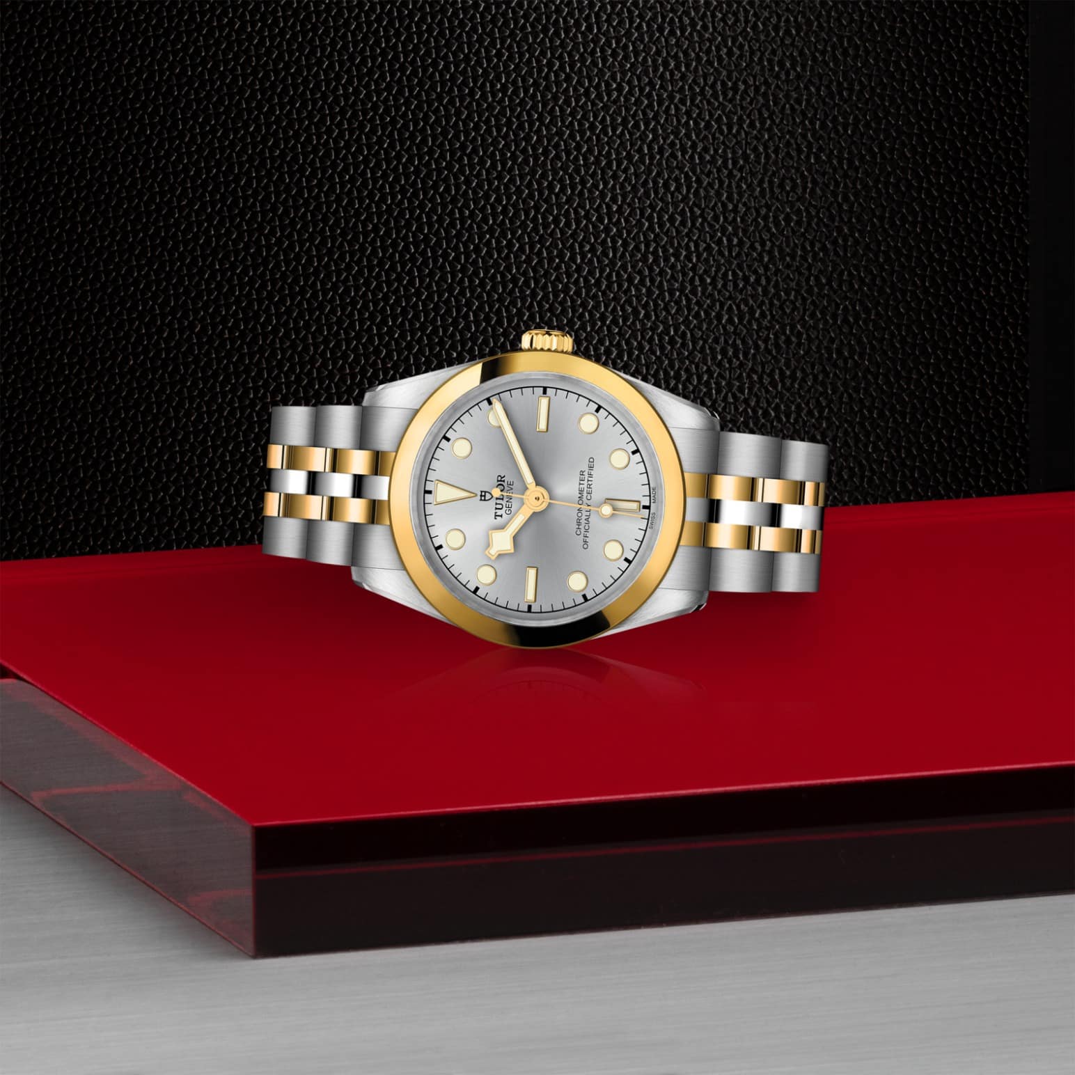TUDOR Black Bay One 31 S&G – Bild 5