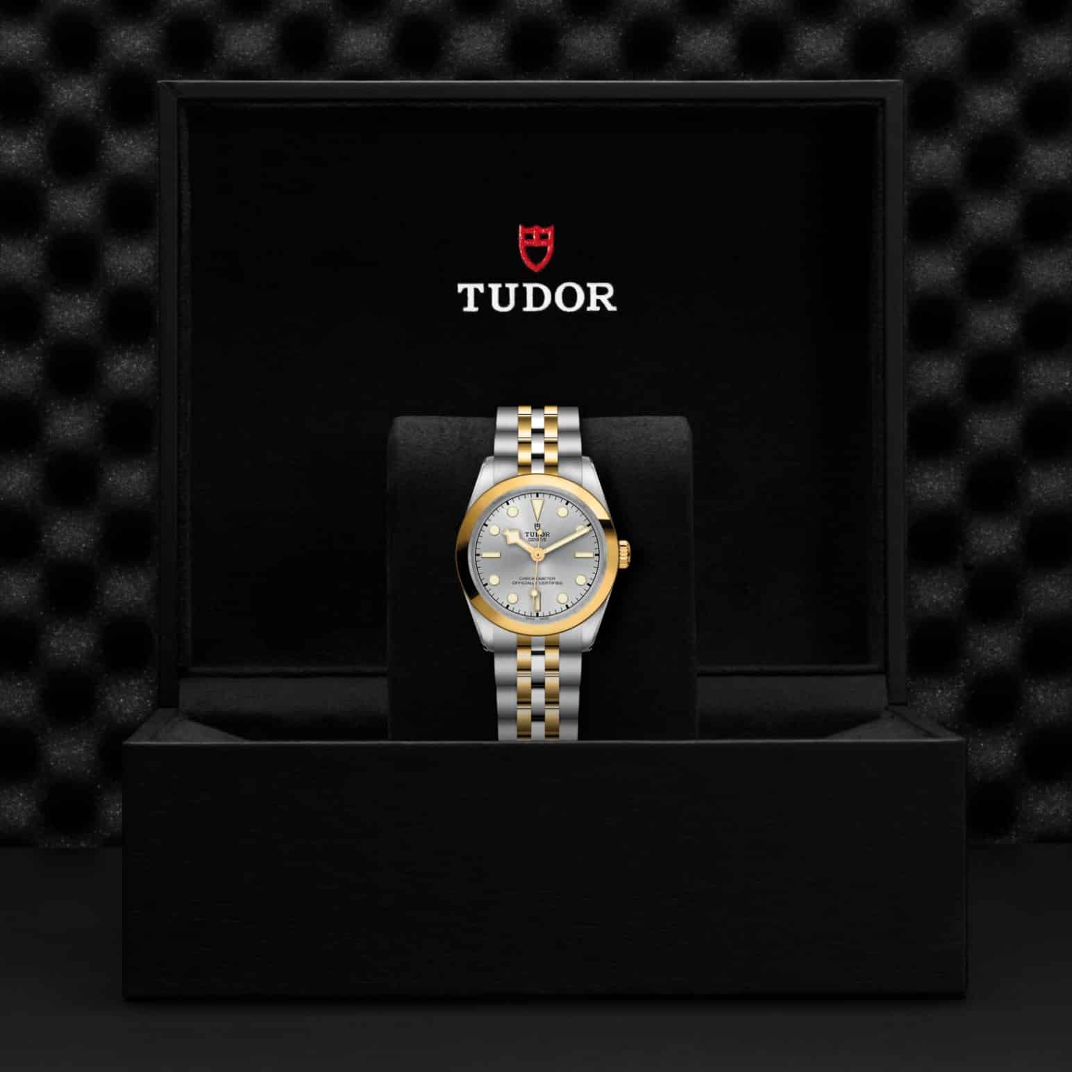 TUDOR Black Bay One 31 S&G – Bild 6