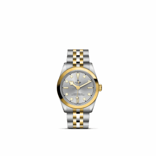 TUDOR Black Bay One 31 S&G