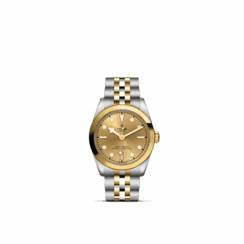 TUDOR Black Bay One 31 S&G
