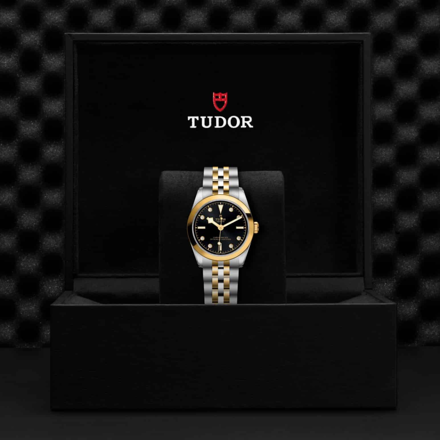 TUDOR Black Bay One 31 S&G – Bild 6