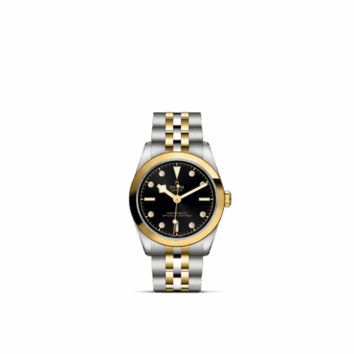 TUDOR Black Bay One 31 S&G