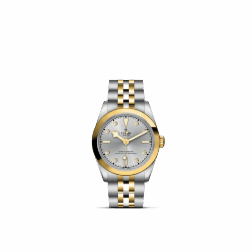 TUDOR Black Bay One 31 S&G