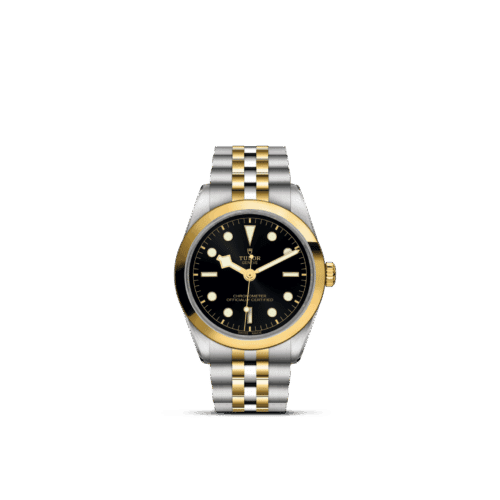 TUDOR Black Bay One 36 S&G