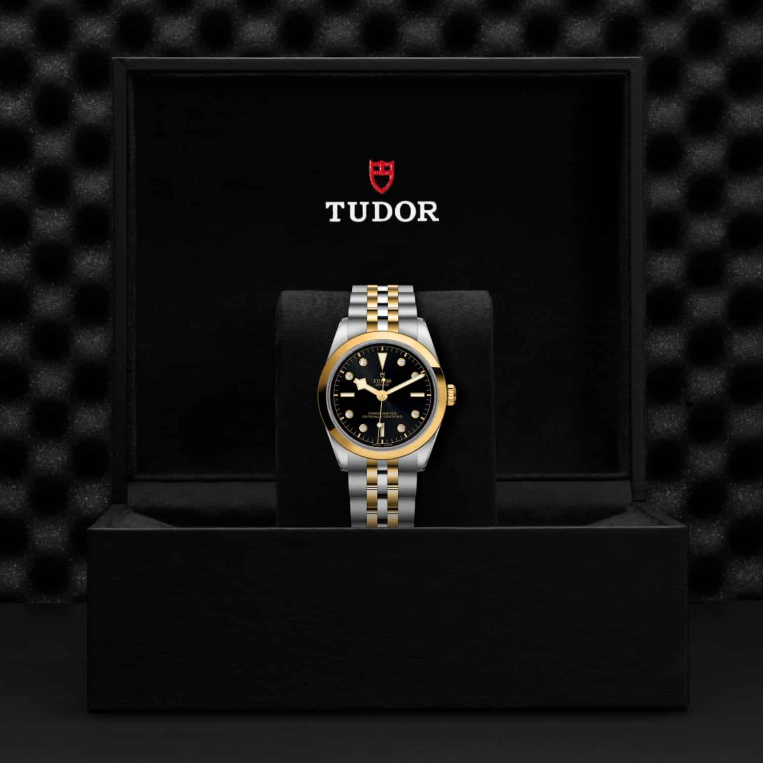 TUDOR Black Bay One 36 S&G – Bild 6