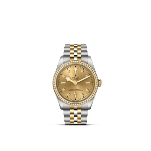 TUDOR Black Bay One 36 S&G