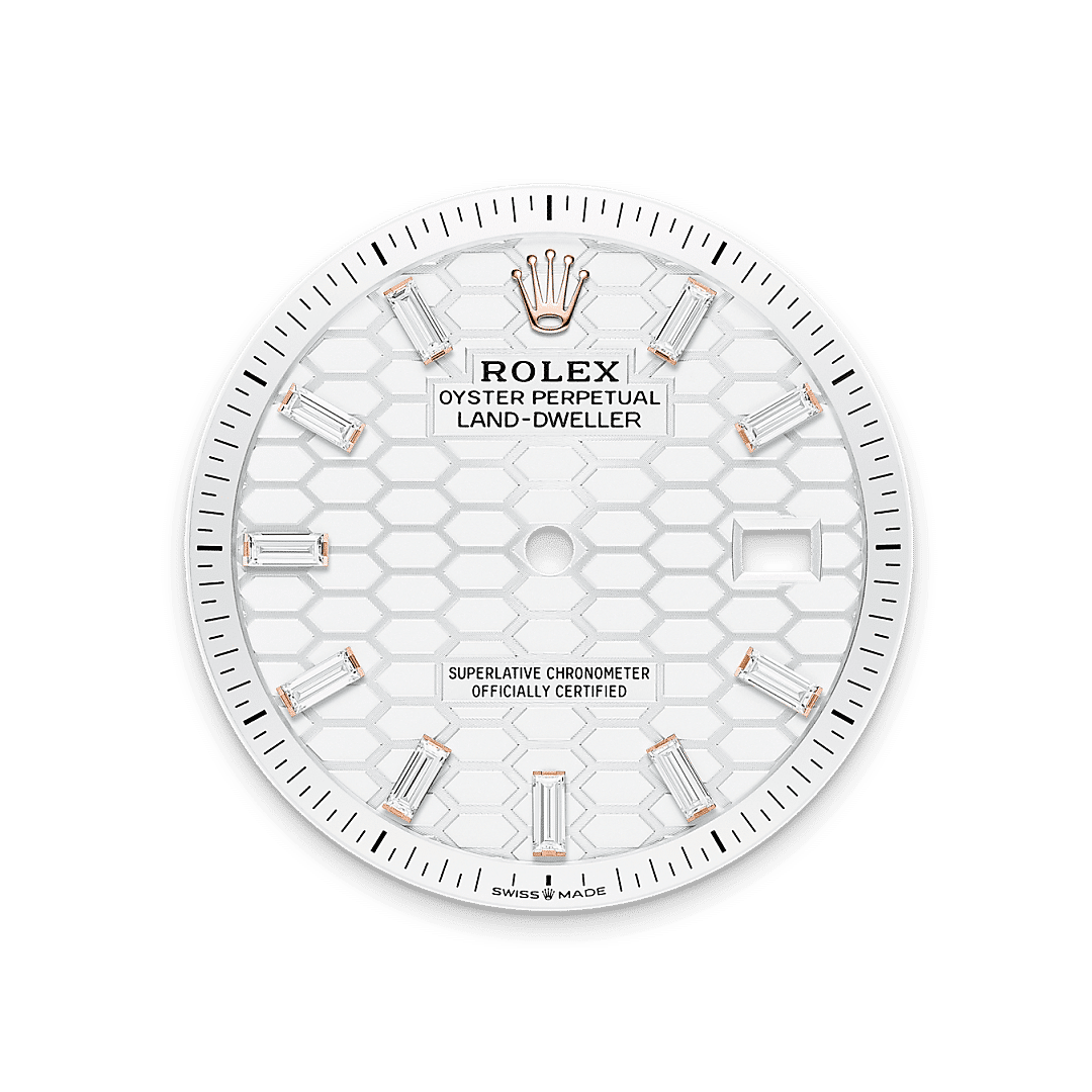 Rolex Land-Dweller 36 M127285TBR-0002