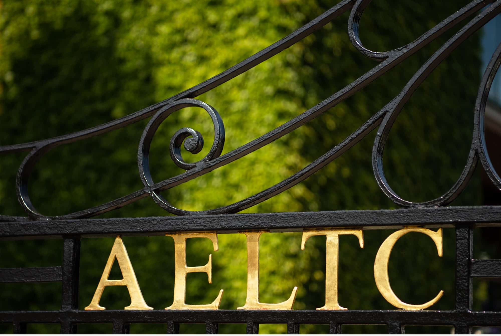 Rolex Wimbledon