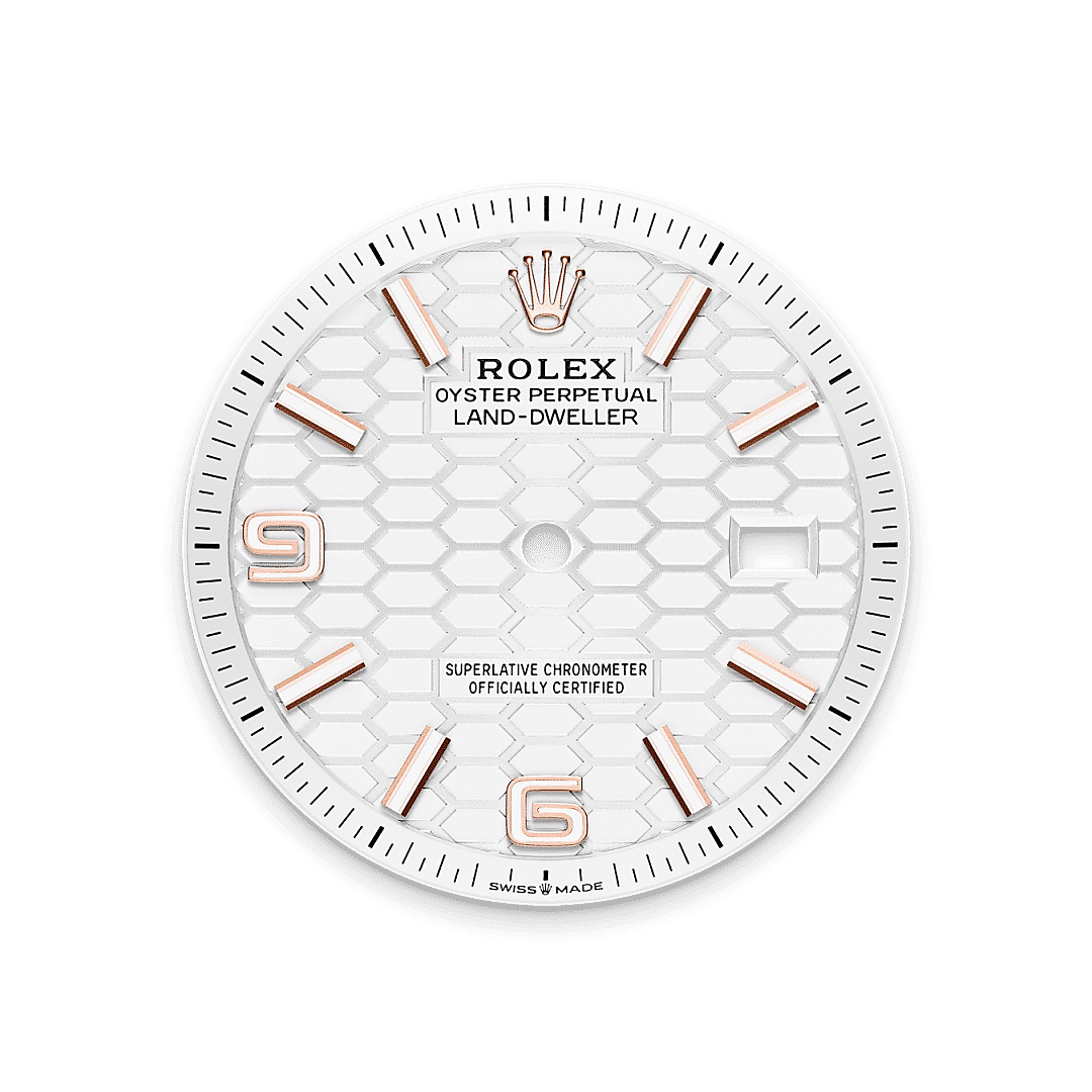 Rolex Land-Dweller 36 in 18 Karat Everose-Gold, M127235-0001 – Juwelier Weinmayr – Tiefweißes Zifferblatt