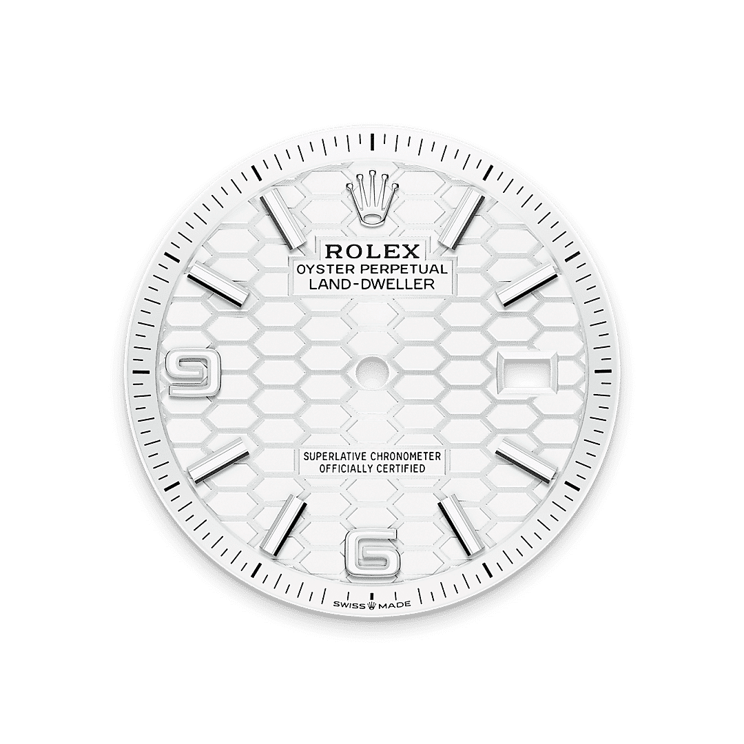 Rolex Land-Dweller 36 in Edelstahl Oystersteel und Weißgold, M127234-0001 – Juwelier Weinmayr – Tiefweißes Zifferblatt