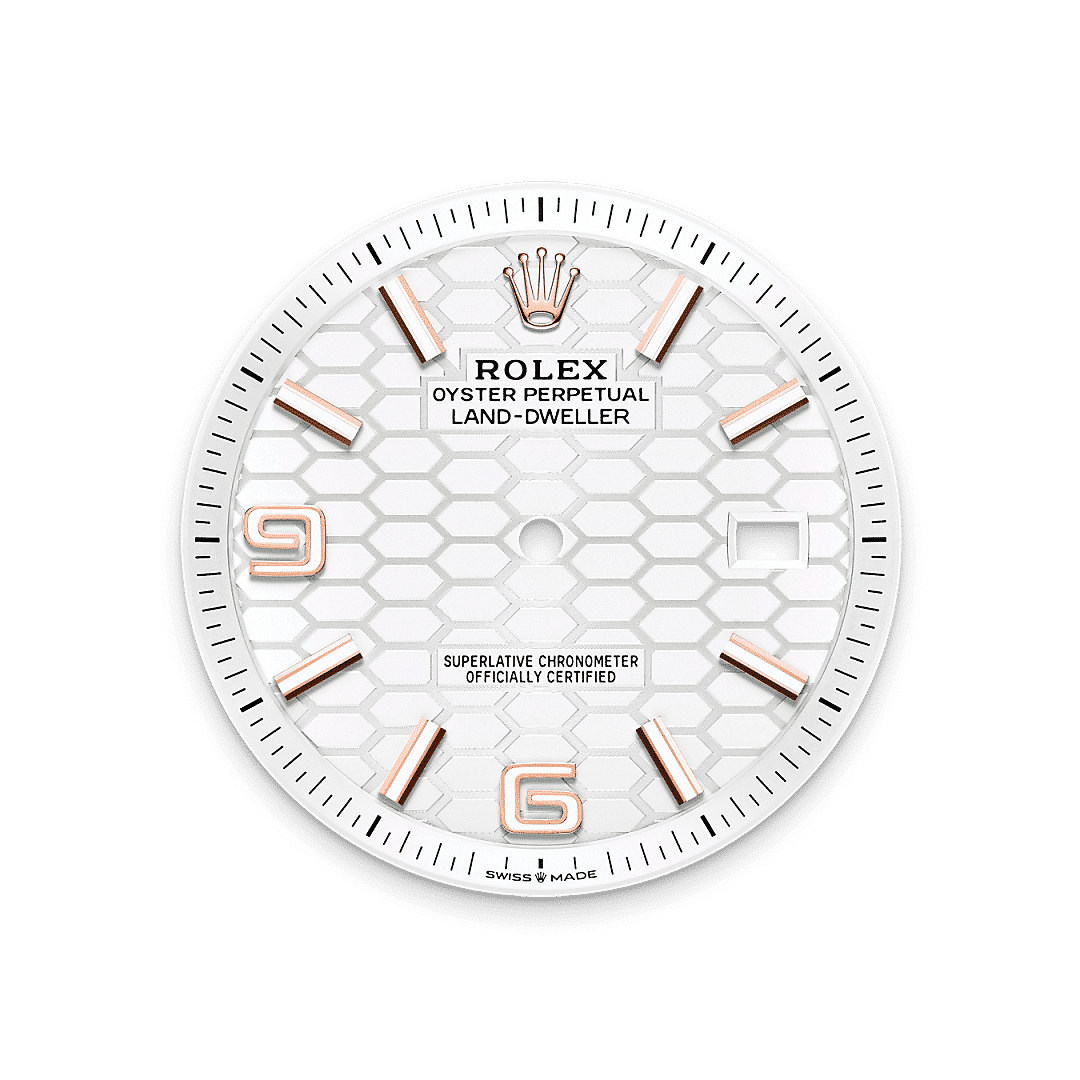 Rolex Land-Dweller 40 in 18 Karat Everose-Gold, M127335-0001 – Juwelier Weinmayr – Tiefweißes Zifferblatt
