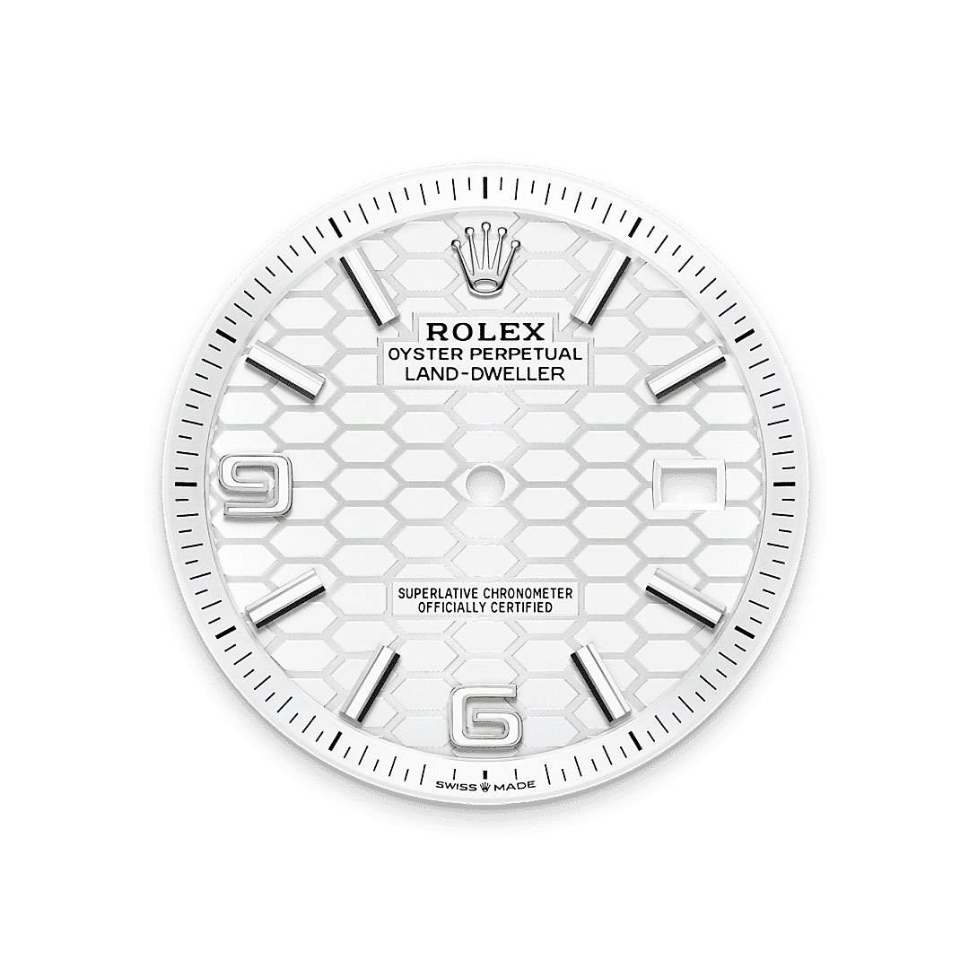 Rolex Land-Dweller 40 in Edelstahl Oystersteel und Weißgold, M127334-0001 – Juwelier Weinmayr – Tiefweißes Zifferblatt